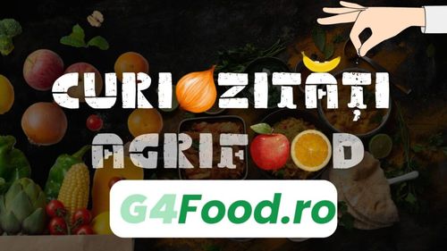 Curiozități agrifood - 26 mai | Un supermarket din Țările de Jos are o casă de marcat pentru vârstnici/ Bătrânii conversează cu casierul și astfel se reduce fenomenul singurătății