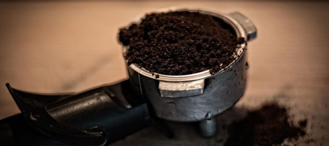 Nu arunca zațul de cafea: trucul simplu care ține furnicile la distanță