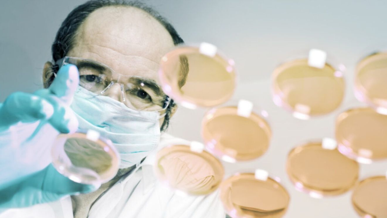 Poluarea chimică, o amenințare comparabilă cu schimbările climatice, avertizează oamenii de știință / Peste 100 de milioane de substanțe chimice „noi” se găsesc inclusiv în alimente, apă  sau aer