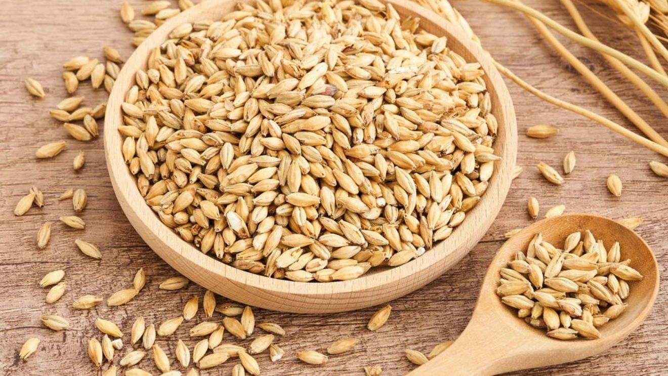 Administraţia Naţională de Meteorologie: Cultura grâului de toamnă, afectată de secetă în Moldova, Dobrogea, Oltenia şi Muntenia şi local în Transilvania