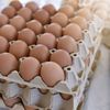 Criză a ouălor în Europa: prețurile cresc, iar rafturile încep să se golească