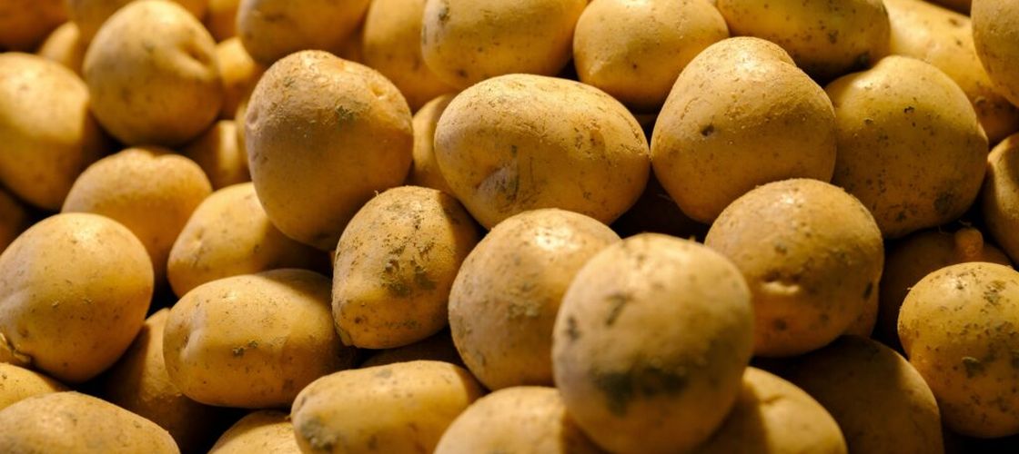 Cum au lăsat cartofii o amprentă în ADN-ul unei populații / Ce au descoperit cercetătorii după 10.000 de ani