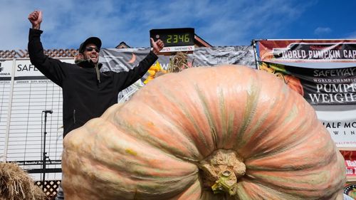 Un dovleac de aproape 1,5 tone ar putea stabili un nou record mondial/ În ce condiții se poate cultiva un asemenea bostan gigant/ Cultivatorul Ron Wallace;SUA: „Este cu adevărat masiv, a fost o plăcere să-l cresc”