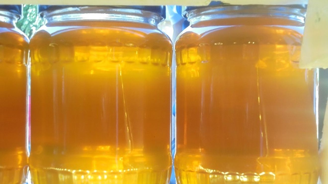 APIMONDIA: ”piața internațională este inundată de cantități uriașe de miere contrafăcută, vândută ieftin, iar acest fapt are un impact economic  major asupra țărilor care respectă bunele practici”