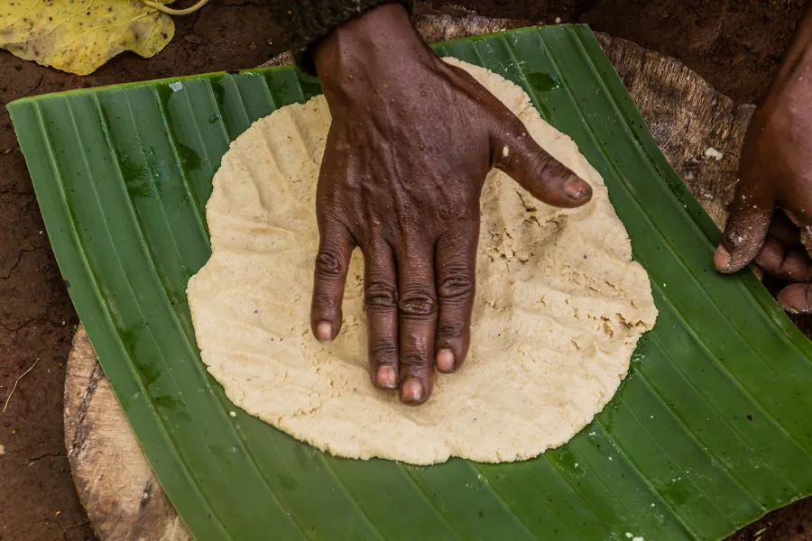 enset-banana-pe-steroizi-arborele-impotriva-foametei-Etiopia-planta-anti-foamete-planta-rezistenta-la-seceta-planta-rezistenta-la-boli-securitate-alimentara-schimbari-climatice-agricultura-Africa-culturi-agricole-culturi-rezistente-insecuritate-alimentara-hranirea-populatiei-Royal-Botanic-Gardens-Kew