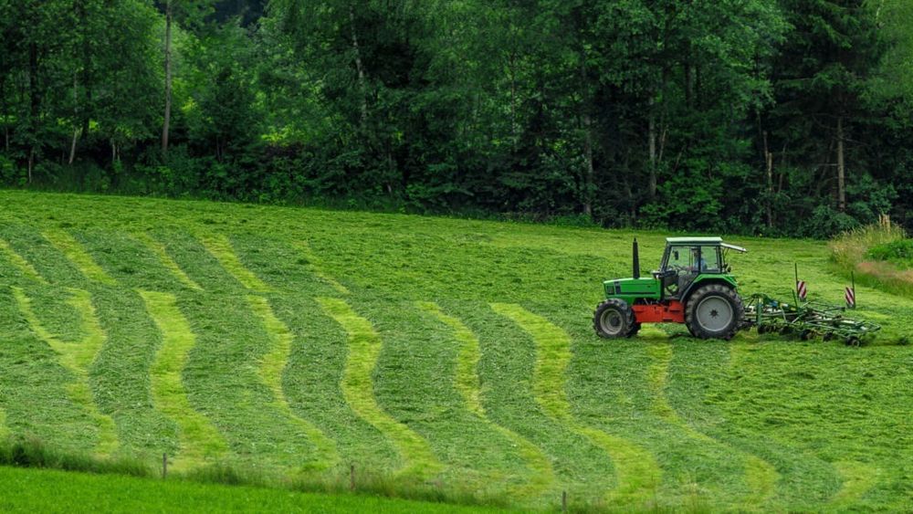 Proiecte economice, inclusiv din sectorul agricol vor putea fi dezvoltate în cooperare cu investitori din Qatar/ Camera de Comerţ, Industrie şi Agricultură Sibiu a primit vizita ambasadorului acestei țări în România