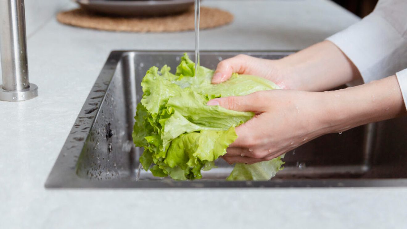 De ce se ofilește salata verde atât de repede / Un studiu explică slăbiciunea ascunsă a frunzei și a descoperit „punctele vulnerabile” ale frunzelor