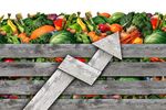 Prețurile globale la alimente au explodat, ajungând cel mai înalt nivel după 2022. Cerealele, zahărul și lactatele sunt în topul scumpirilor