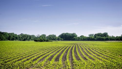 Clubul Fermierilor Români cere Guvernului României și Comisiei Europene suspendarea aplicării CBAM/ Florian Ciolacu (Director Executiv): Introducerea acestui mecanism pentru îngrășăminte, fără o perioadă de adaptare și fără măsuri compensatorii, riscă să destabilizeze complet producția agricolă