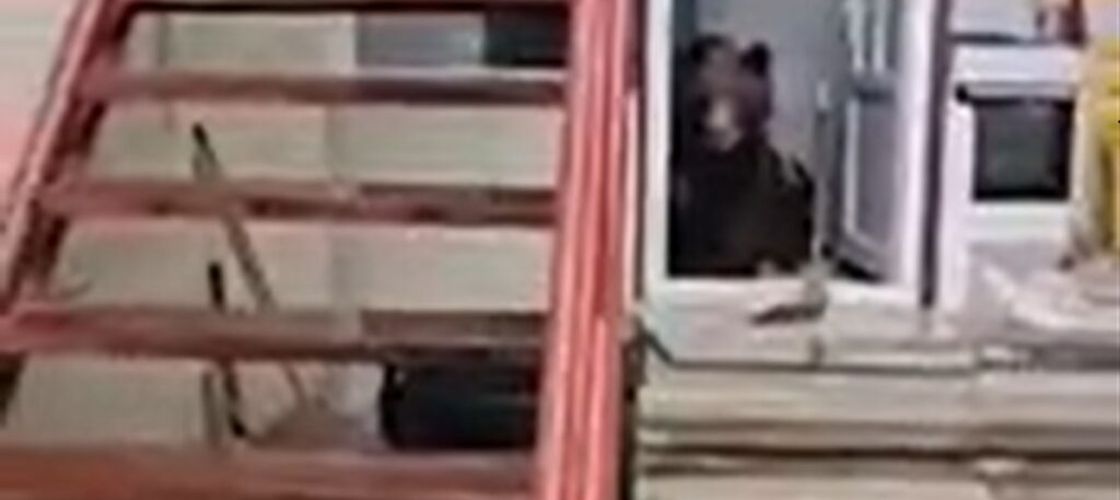 O ursoaică cu trei pui a intrat de două ori într-o casă din Bușteni / Animalele au mers direct la frigider în căutare de hrană