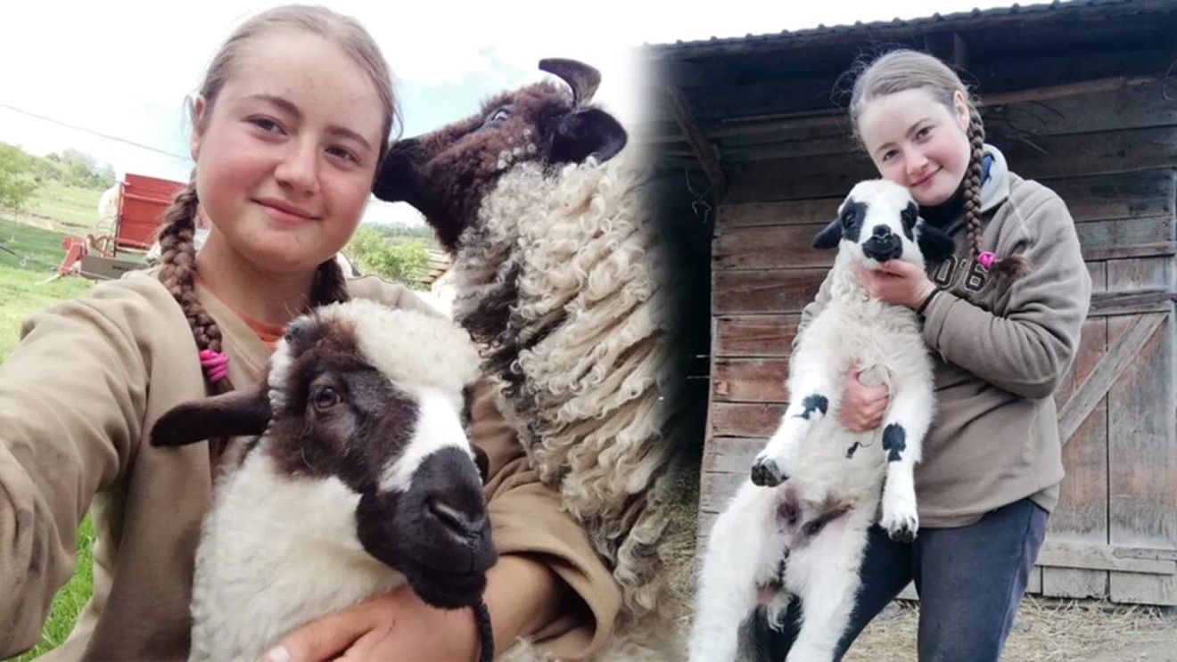 Maria, ciobănița din Cluj care a ales viața la fermă / „Nu mi-aș dori să trăiesc în oraș. Viața la țară este mult mai sănătoasă. Eu prefer să muncesc și să construiesc ceva al meu”