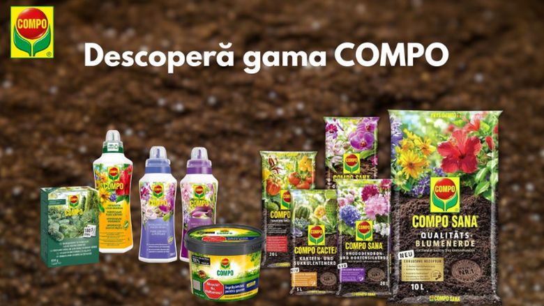 COMPO în România, prin Verdon