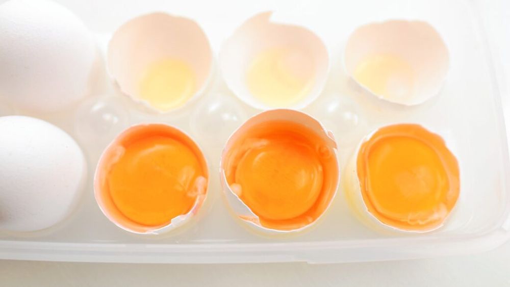 Culoarea contează. Ce indicații ne poate da intensitatea cromatică a gălbenușului de ou. Sunt mai sănătoase cele portocalii?