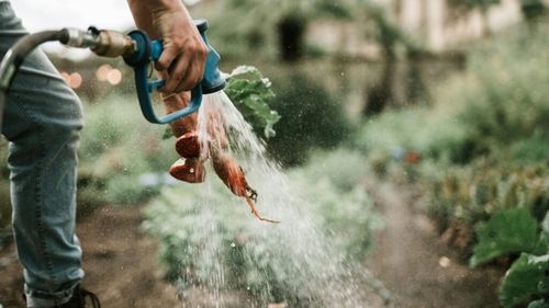 Reuniunile COPA şi COGECA: Situaţia curentă a sectorului agricol, analizată la Bruxelles împreună cu reprezentanţii principalelor partide politice europene / Simplificarea politicii agricole şi reducerea împovărării administrative, importante pentru fermierii români