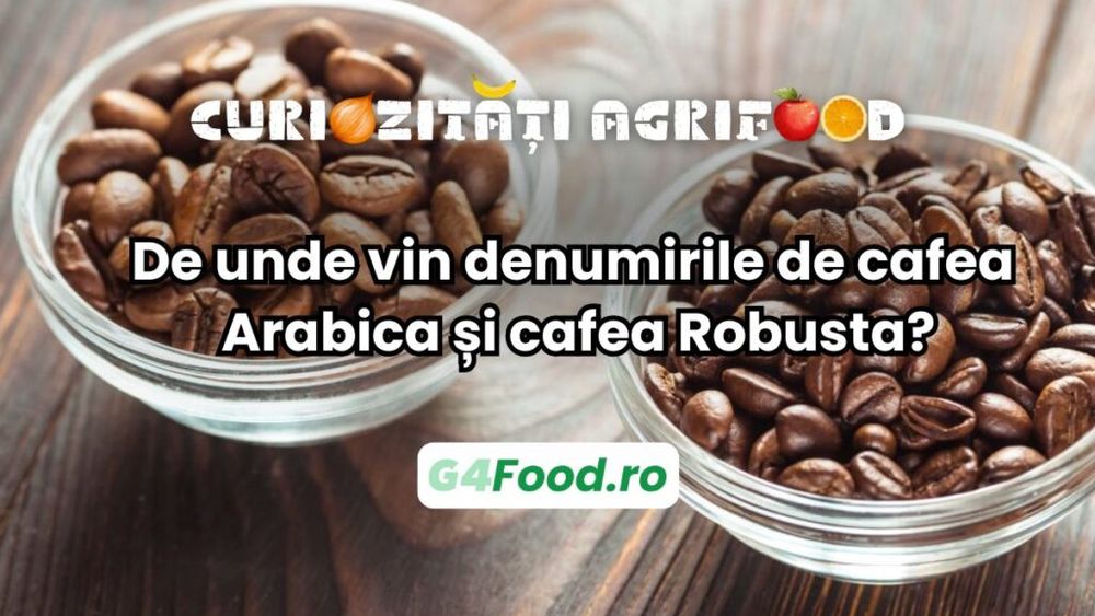 Curiozități agrifood: De unde vin denumirile de cafea Arabica și cafea Robusta?