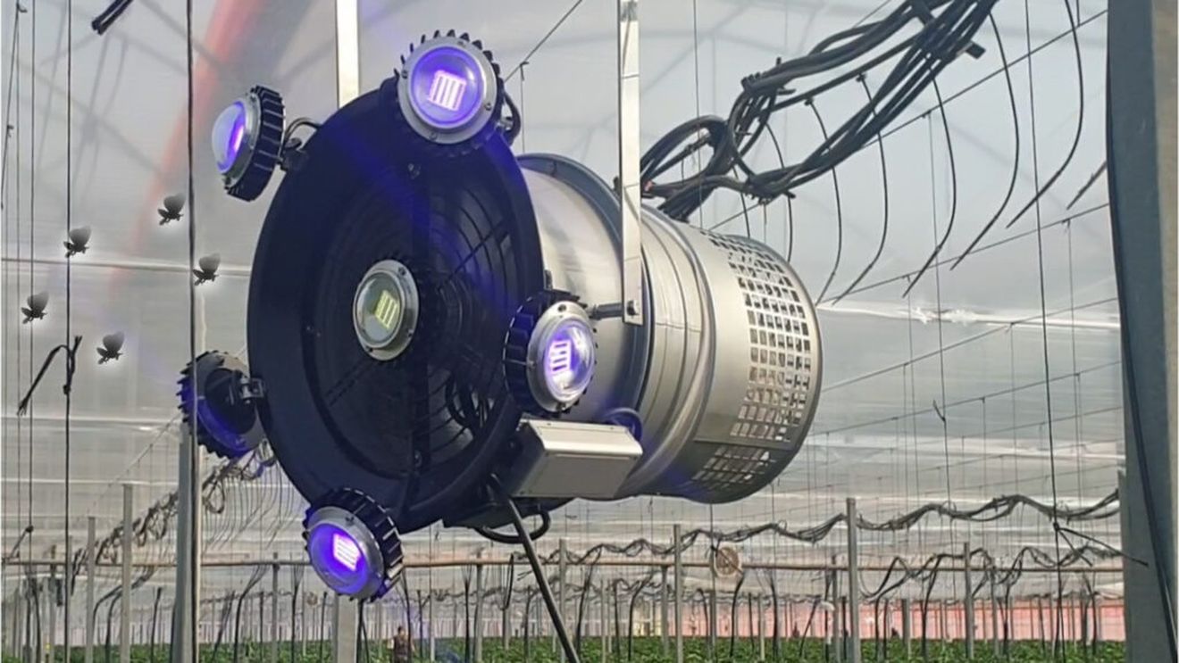 Dispozitiv cu LED-uri puternice, folosit în sere pentru a atrage și distruge dăunători ai tomatelor / Noul model poate fi controlat de la distanță și are sistem antifurt GPS