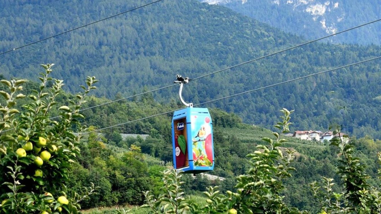 Primele mere din lume transportate și depozitate în grote naturale cu ajutorul telecabinei. Instalația din regiunea Trentino din nordul Italiei a fost inaugurată oficial: transportă merele cultivate pe versanți producând în același timp energie