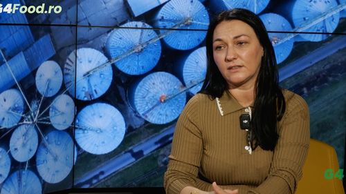 Alina Donici, cofondatoarea Artesana: „Părinții noștri și-au pus casele la bancă pentru acest business” / De la insolvență și un „an complet negru” la unul dintre cele mai cunoscute branduri românești de lactate artizanale