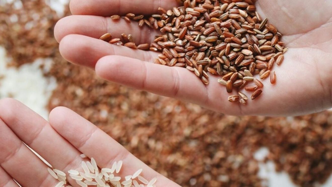 Date INS: Românii au consumat mai mult orez în 2023