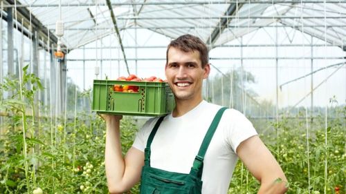 „Afaceri cu rădăcini”: Cursuri gratuite, sprijin și dobândă subvenționată pentru antreprenorii din mediul rural cu finanțare din partea Uniunii Europene