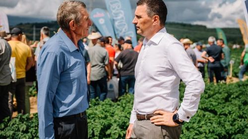 Sprijin pentru cultivatorii de cartofi. Ministrul Agriculturii, Tanczos Barna: Proiectul de creștere a subvenției este pe masa Guvernului și este imperios necesar să fie aprobat în cel mai scurt timp