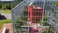 VIDEO | Au construit o casă în interiorul unei sere uriașe. Cum trăiește o familie din Norvegia înconjurată de fructe și legume: „Putem vedea și stelele prin tavanul de sticlă”