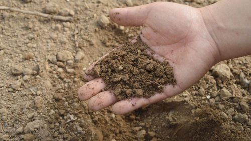 O arhivă a solului redescoperită - veche de peste un secol - ar putea arăta modul în care anii de agricultură modifică solul