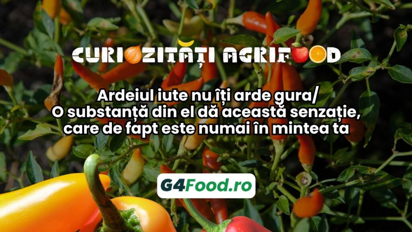 Curiozități agrifood - 18 octombrie: Ardeiul iute nu îți arde gura/ O substanță din el dă această senzație, care de fapt este numai în mintea ta
