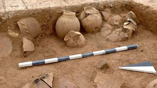 Vin distilat cu o vechime de peste 3.000 de ani, descoperit în estul Chinei/ Lichidul se afla într-un recipient din bronz, datând de la sfârşitul dinastiei Shang