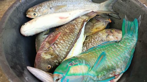 Doi bărbaţi din Bacău, prinşi când pescuiau ilegal în Siret / 50 de kilograme de pește s-au găsit asupra lor 