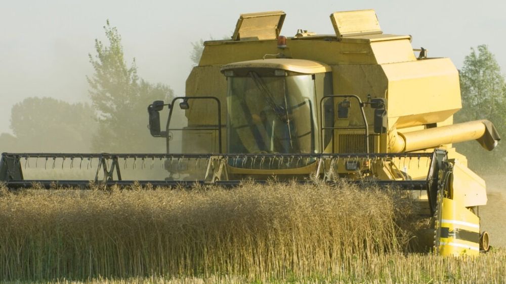 Începând din iunie, UE vrea să reducă importurile de produse agricole din Ucraina / Atunci va expira actualul acord comercial cu Kievul