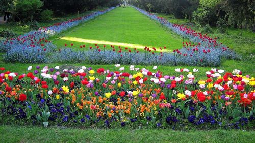 Salon de evenimente și terasă din Parcul Cișmigiu, demolate la ordinul Primarului General