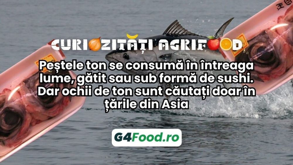 Curiozități agrifood - 11 octombrie: Peștele ton se consumă în întreaga lume, gătit sau sub formă de sushi. Dar ochii de ton sunt căutați doar în țările din Asia