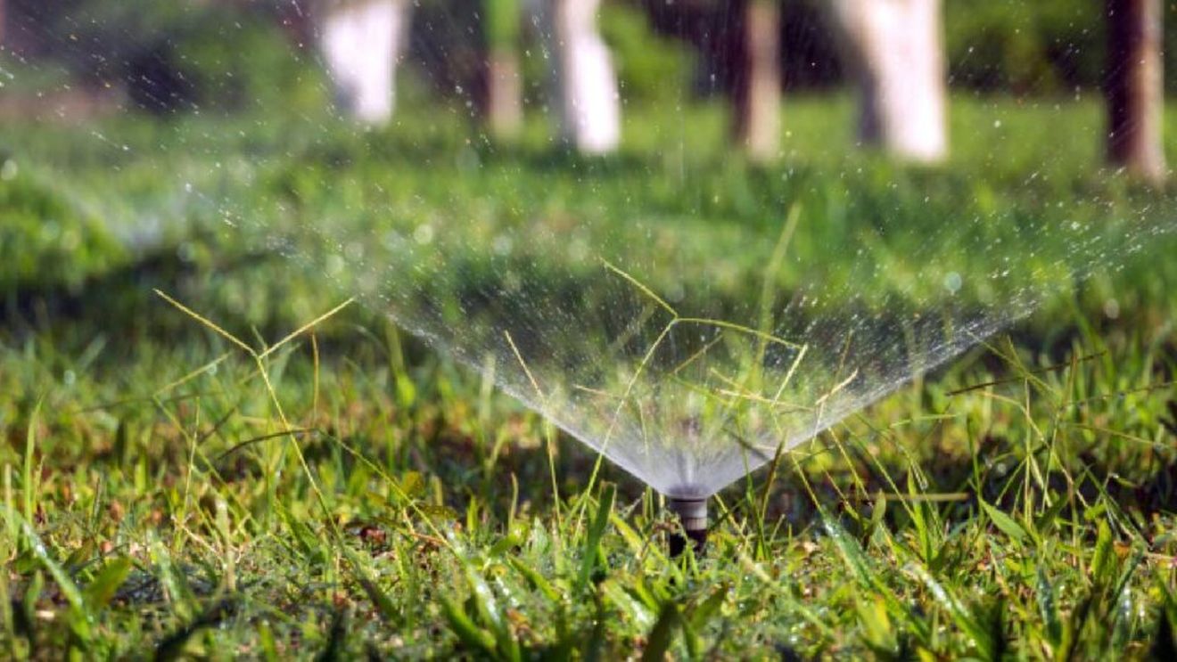 Programul de guvernare 2025-2028. Măsuri în agricultură: Reorganizarea instituțiilor deconcentrate din domeniul agricol la nivel județean, bani pentru irigații, creșterea suprafeței minime eligibile de la 1 ha la 2 ha pentru fermierii din sectorul vegetal (SURSE)