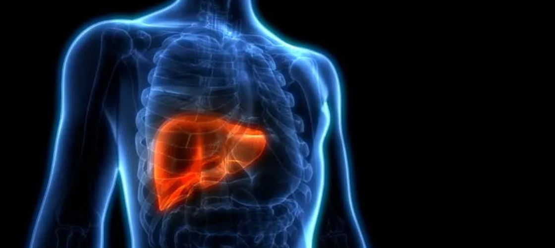 Ce ar trebui să elimini din dietă dacă ai ficat gras / Un hepatolog recomandă să uiți de acest aliment