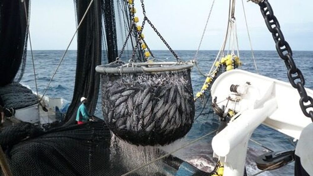 Legea acvaculturii, adoptată de Parlament, după ce a fost reexaminată de plen la solicitarea Curții Constituționale