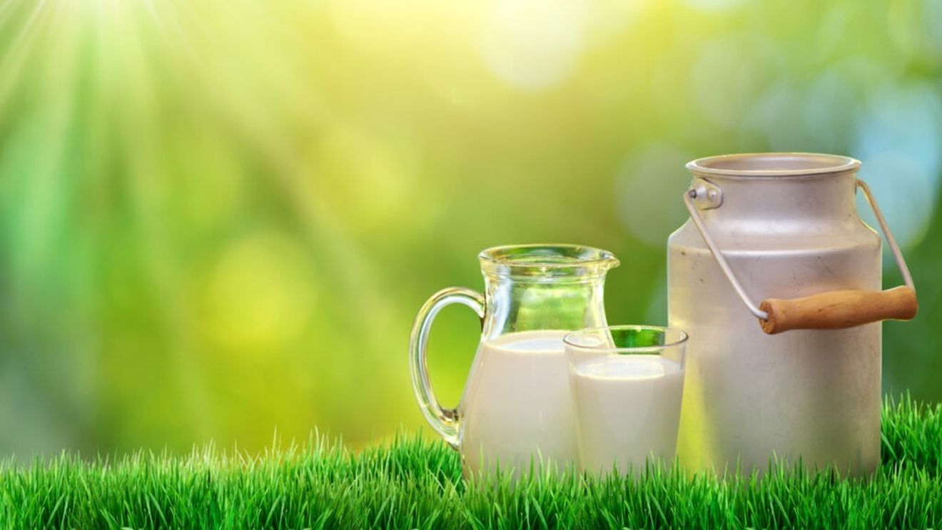 Care este diferența dintre laptele organic și cel obișnuit/Produsele lactate organice și ouăle ocupă locul al doilea în vânzările de alimente organice, după produsele proaspete