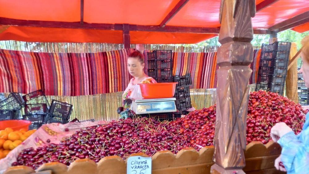 VIDEO / ”Festivalul cireșelor” din Parcul Izvor are de toate. Mai puțin cireșe | FOTO