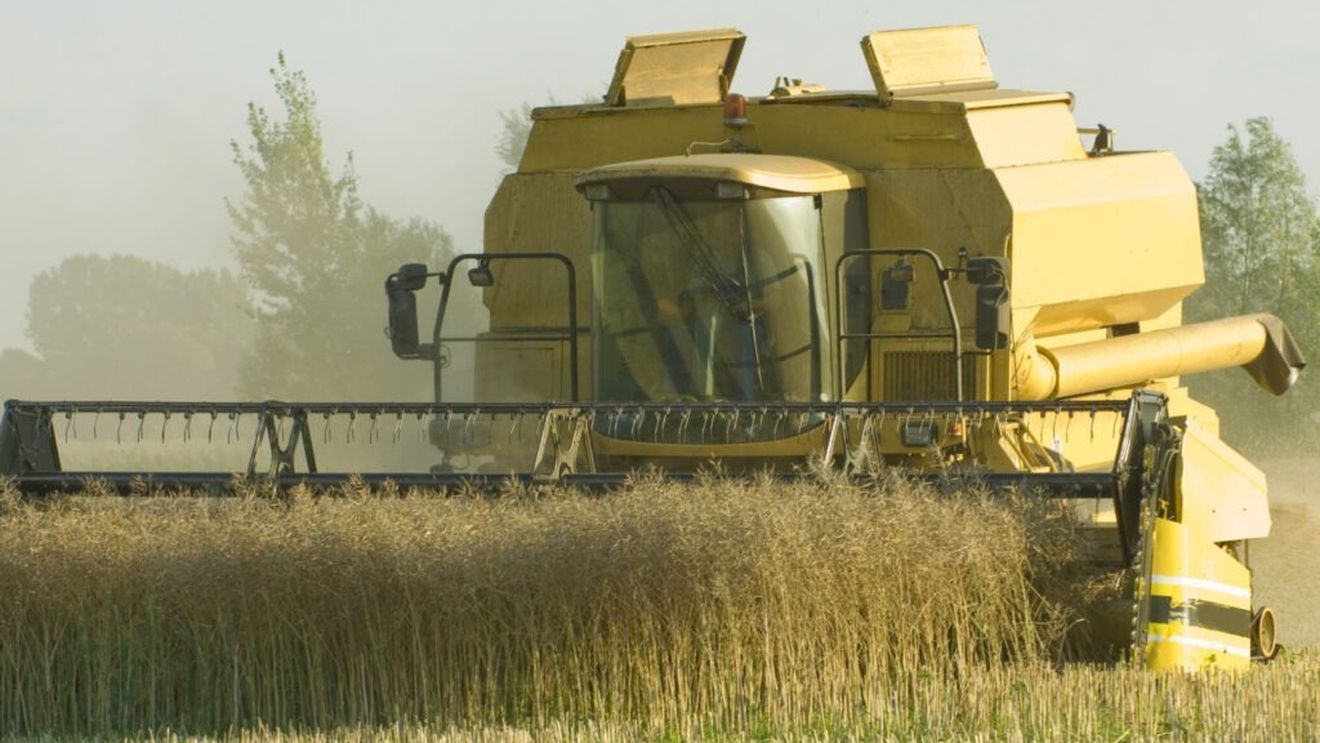 Începând din iunie, UE vrea să reducă importurile de produse agricole din Ucraina / Atunci va expira actualul acord comercial cu Kievul