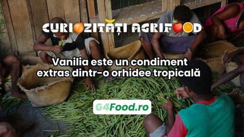 Curiozitate agri-food: Vanilia este un condiment extras dintr-o orhidee tropicală