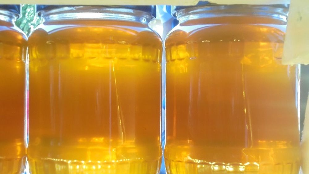 Lantulalimentar.ro la Târgul Național al Mierii, ediția de toamnă: un fost profesor de matematică a renunțat la catedră și trăiește din apicultură