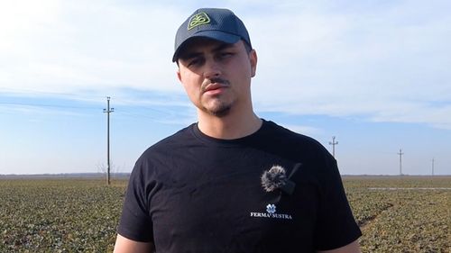 Cum a obținut o fermă din Timiș până la o tonă de porumb în plus la hectar/ „Contează cantitatea depozitată la final”