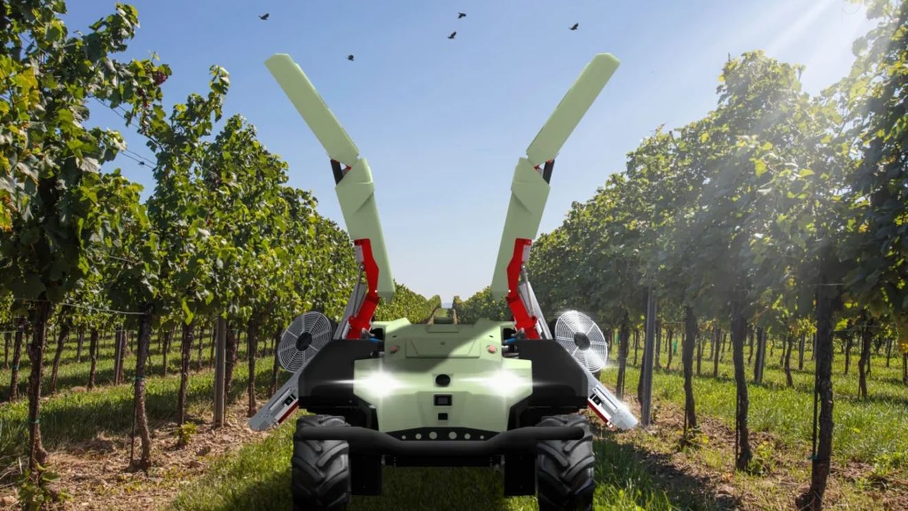 Icaro X4, robotul care apără viile și livezile de dăunători folosind raze UV-C. Leonardo X4, robotul care elimină buruienile