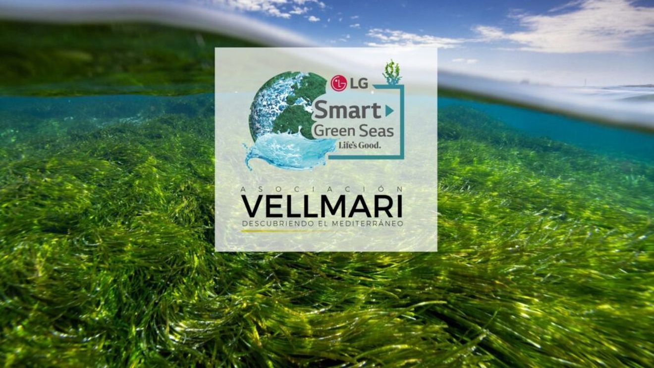 De la proiectele ecologice „pe hârtie” la cele care își propun cu adevărat să fie eficiente