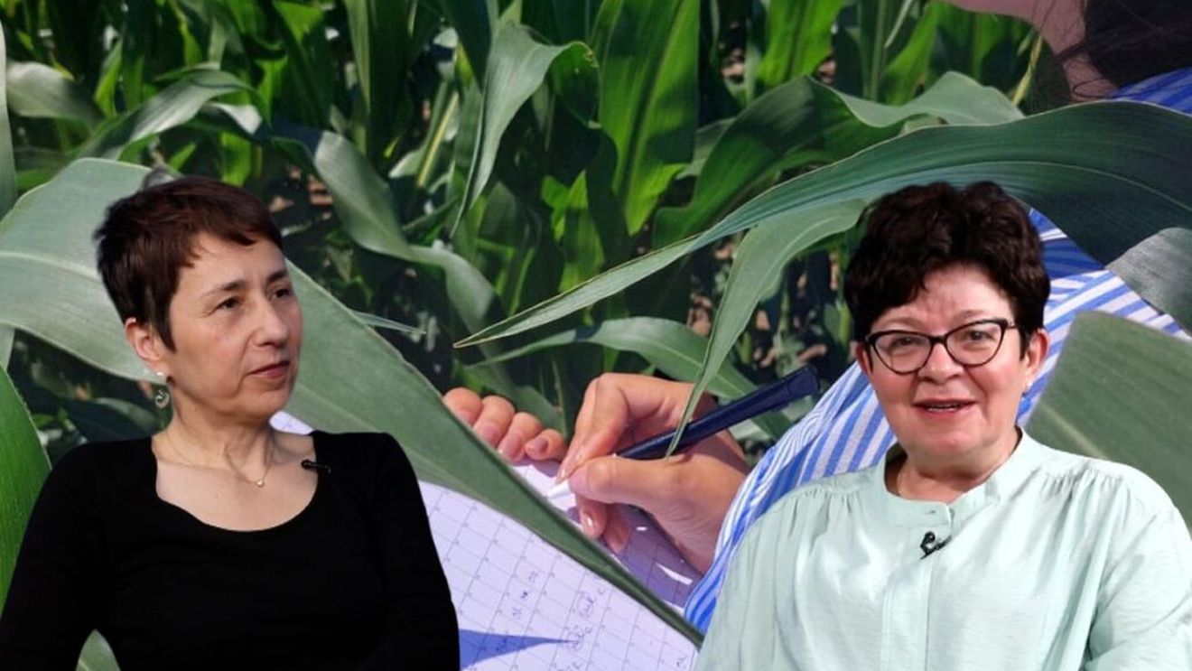 VIDEO | Cum vrea Comisia Europeană să asigure hrana celor 500 milioane de europeni / Noul pachet de simplificare, publicat recent de CE, este așteptat și cerut de toți fermierii, din toate statele membre