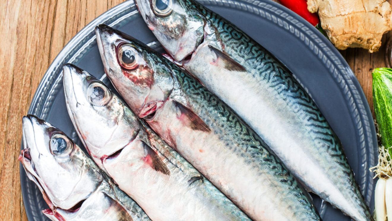 Aproape 600 de kilograme de scrumbie, confiscate la o pensiune din Delta Dunării / Peștele nu avea acte de proveniență, iar întreaga cantitate va fi distrusă