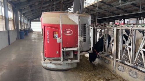 VIDEO | Fermă belgiană de lactate, exemplu de inovație în agricultură: Roboți pentru muls și hrănire / Cum se obține energie verde din gunoi de grajd