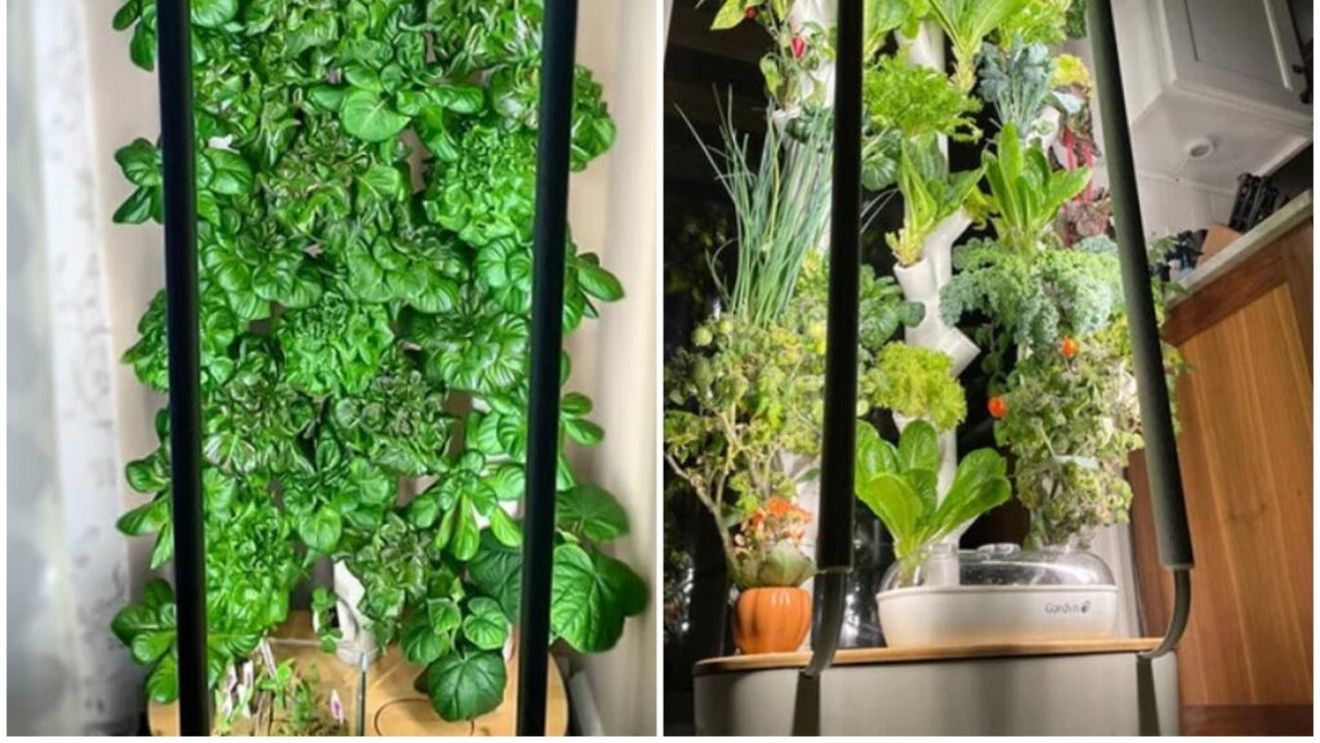VIDEO | Sistemul de cultivare verticală în interior pe care să-l pui în bucătărie. Poate include 30 de tipuri de plante în același timp