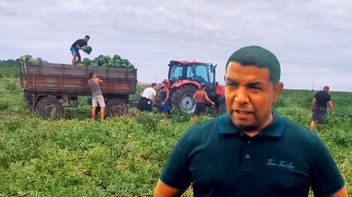 FOTO-VIDEO | Comuna Lovrin, noua capitală a pepenilor din România. Povestea tânărului care a pornit de jos și a ajuns cel mai mare cultivator din zonă / Vasile Dobre lucrează peste 25 de hectare: „Am început lucrând cu ziua la alții”