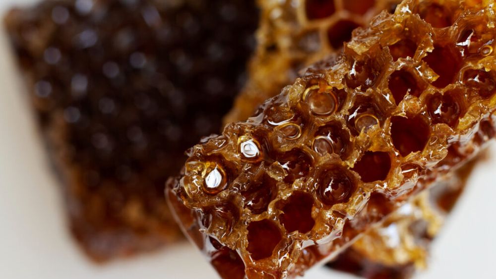 Mierea „mad honey” sau „deli bal” de pe țărmul Mării Negre / Se găsește doar în două locuri din lume și are efecte puternice, dar poate fi toxică în cantități prea mari